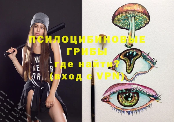 круглые Аркадак