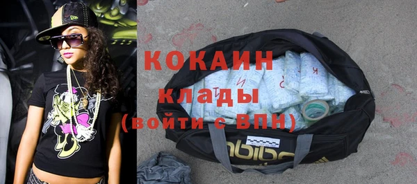 прущие грибы Баксан